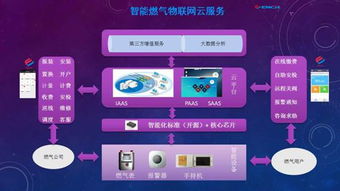 黑龍江省國(guó)家密碼管理局 筑牢網(wǎng)絡(luò)安全防線，引領(lǐng)信息安全軟件開發(fā)新篇章